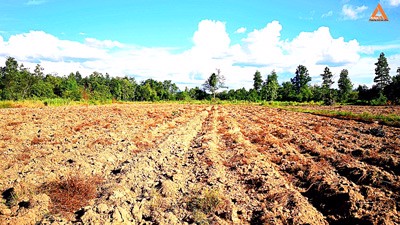 ขายที่ดิน-ตำบลสันติสุข-อำเภอดอยหล่อ-จังหวัดเชียงใหม่