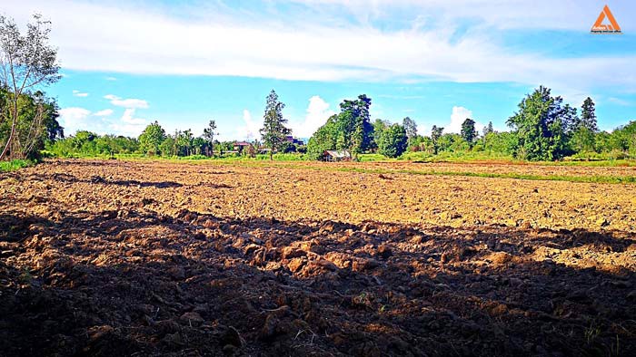 ขายที่ดิน-ตำบลสันติสุข-อำเภอดอยหล่อ-จังหวัดเชียงใหม่