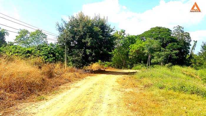 ขายที่ดิน-ตำบลสันติสุข-อำเภอดอยหล่อ-จังหวัดเชียงใหม่