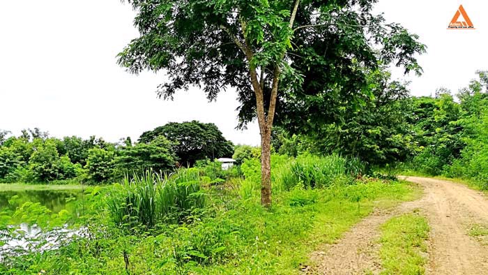 ขายที่ดิน-ตำบลสันติสุข-อำเภอดอยหล่อ-จังหวัดเชียงใหม่