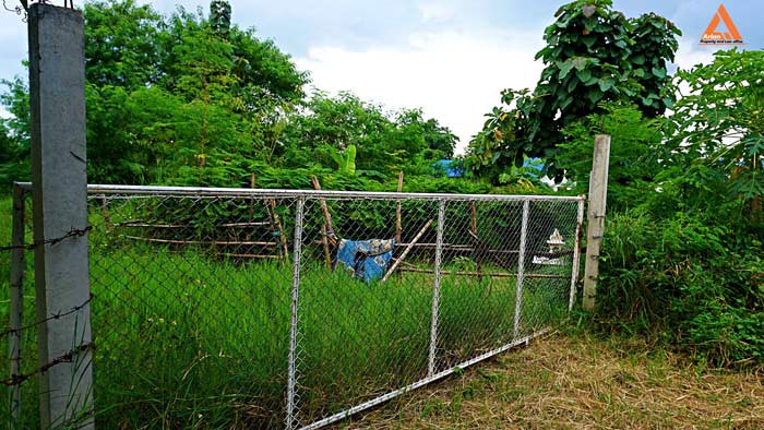 ขายที่ดิน-ใกล้-มหาวิทยาลัยราชภัฏเชียงใหม่-วิทยาเขตแม่สา-ตำบลแม่สา-อำเภอแม่ริม