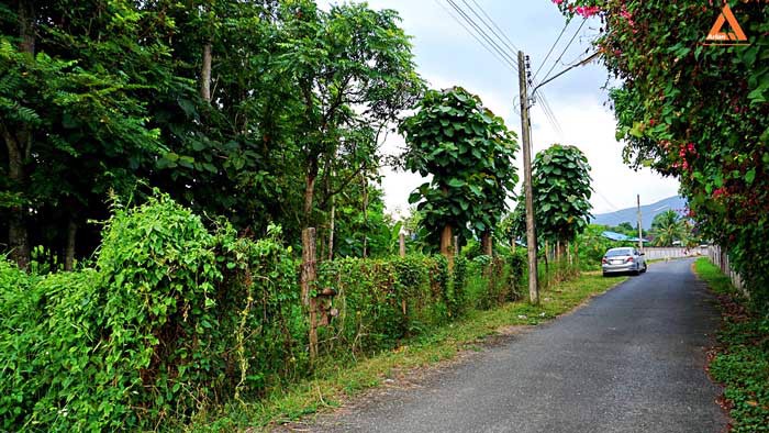 ขายที่ดิน-ใกล้-มหาวิทยาลัยราชภัฏเชียงใหม่-วิทยาเขตแม่สา-ตำบลแม่สา-อำเภอแม่ริม