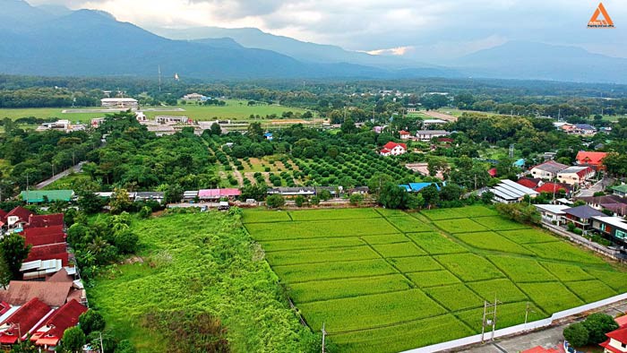 ขายที่ดิน-ใกล้-มหาวิทยาลัยราชภัฏเชียงใหม่-วิทยาเขตแม่สา-ตำบลแม่สา-อำเภอแม่ริม