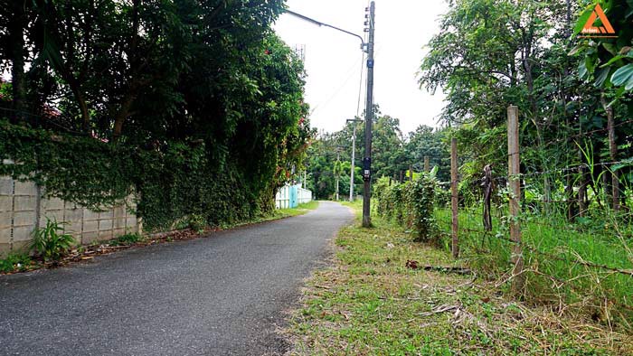 ขายที่ดิน-ใกล้-มหาวิทยาลัยราชภัฏเชียงใหม่-วิทยาเขตแม่สา-ตำบลแม่สา-อำเภอแม่ริม