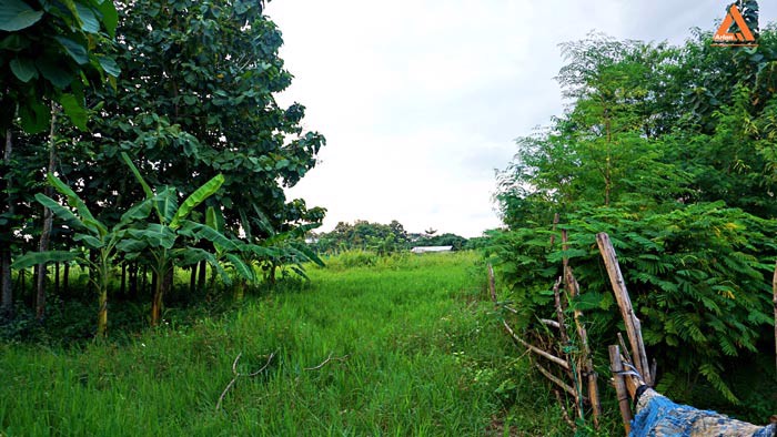 ขายที่ดิน-ใกล้-มหาวิทยาลัยราชภัฏเชียงใหม่-วิทยาเขตแม่สา-ตำบลแม่สา-อำเภอแม่ริม