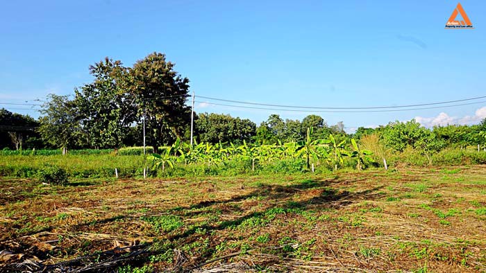 ขายที่ดิน-ตำบลสันป่าเปา-อำเภอสันทราย-จังหวัดเชียงใหม่-การเดินทางสะดวก