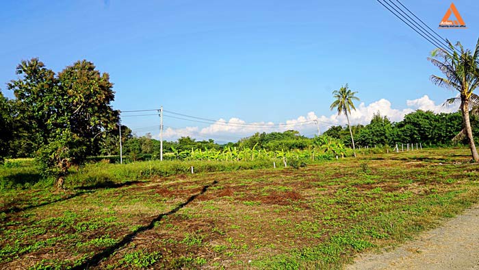 ขายที่ดิน-ตำบลสันป่าเปา-อำเภอสันทราย-จังหวัดเชียงใหม่-การเดินทางสะดวก