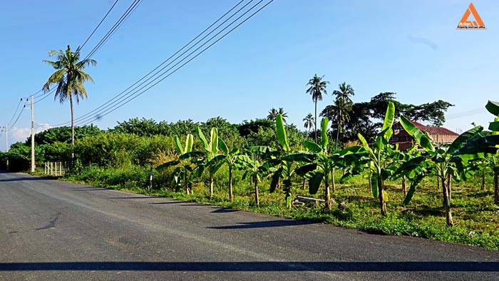 ขายที่ดิน-ตำบลสันป่าเปา-อำเภอสันทราย-จังหวัดเชียงใหม่-การเดินทางสะดวก