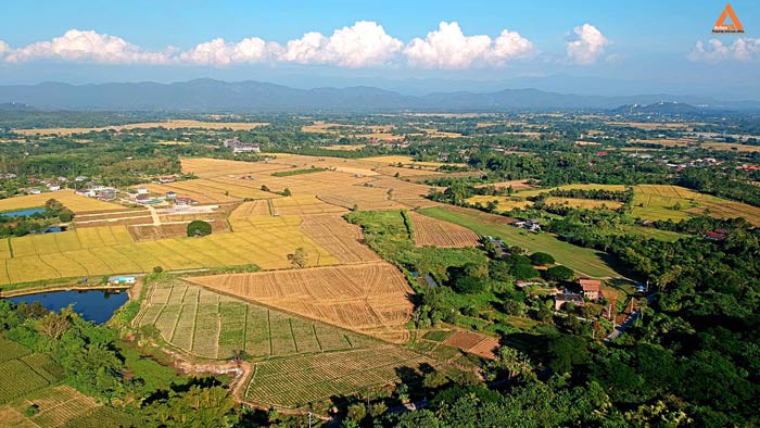ขายที่ดิน-ตำบลสันป่าเปา-อำเภอสันทราย-จังหวัดเชียงใหม่-การเดินทางสะดวก
