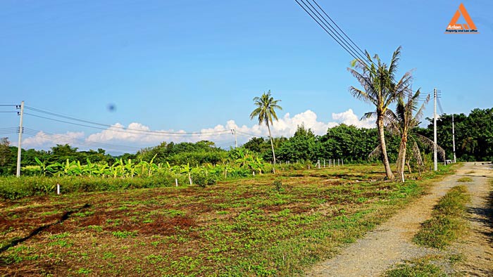 ขายที่ดิน-ตำบลสันป่าเปา-อำเภอสันทราย-จังหวัดเชียงใหม่-การเดินทางสะดวก