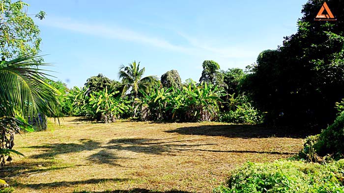 ขายที่ดิน-พร้อมสิ่งปลูกสร้าง-ใกล้ถนนวงแหวนรอบ-3-ตำบลป่าบง-อำเภอสารภี-จังหวัดเชียงใหม่