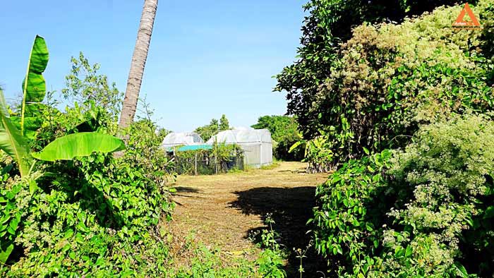 ขายที่ดิน-พร้อมสิ่งปลูกสร้าง-ใกล้ถนนวงแหวนรอบ-3-ตำบลป่าบง-อำเภอสารภี-จังหวัดเชียงใหม่