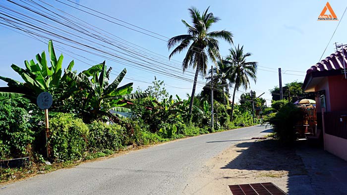 ขายที่ดิน-พร้อมสิ่งปลูกสร้าง-ใกล้ถนนวงแหวนรอบ-3-ตำบลป่าบง-อำเภอสารภี-จังหวัดเชียงใหม่