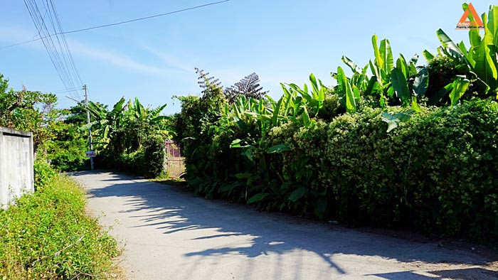 ขายที่ดิน-พร้อมสิ่งปลูกสร้าง-ใกล้ถนนวงแหวนรอบ-3-ตำบลป่าบง-อำเภอสารภี-จังหวัดเชียงใหม่