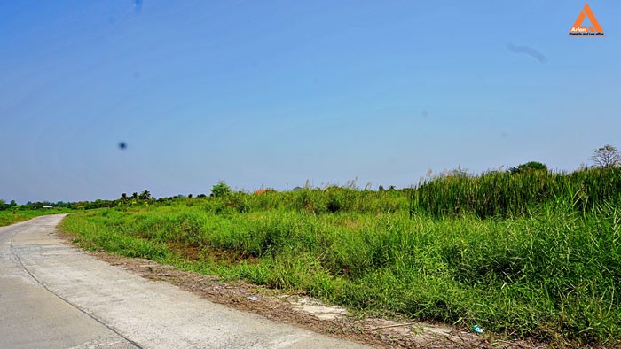 ขายที่ดิน-บ้านหนองไคร้-ตำบลหนองตอง-อำเภอหางดง-จังหวัดเชียงใหม่