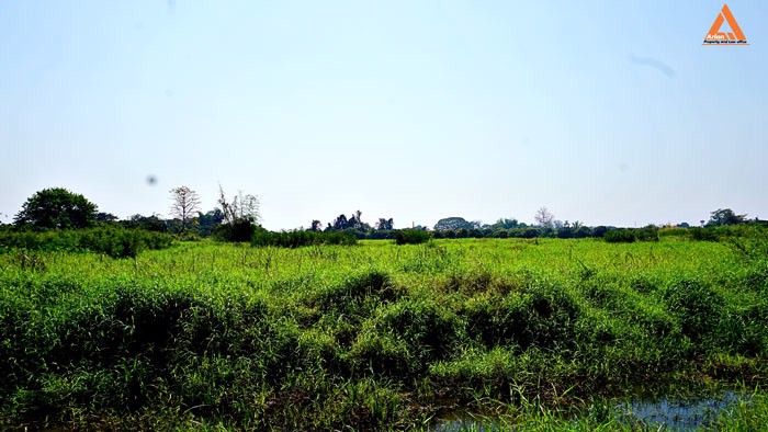 ขายที่ดิน-บ้านหนองไคร้-ตำบลหนองตอง-อำเภอหางดง-จังหวัดเชียงใหม่