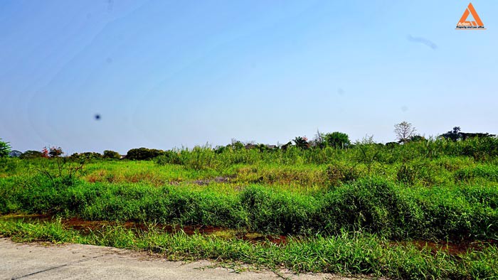 ขายที่ดิน-บ้านหนองไคร้-ตำบลหนองตอง-อำเภอหางดง-จังหวัดเชียงใหม่