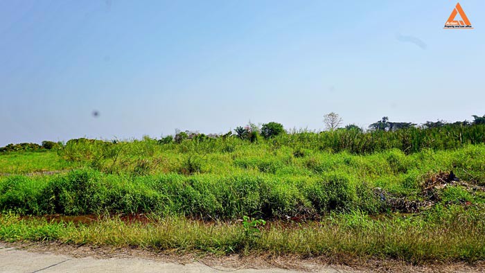 ขายที่ดิน-บ้านหนองไคร้-ตำบลหนองตอง-อำเภอหางดง-จังหวัดเชียงใหม่