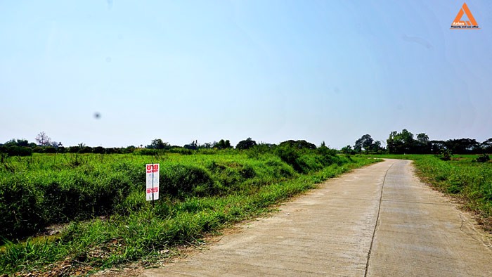 ขายที่ดิน-บ้านหนองไคร้-ตำบลหนองตอง-อำเภอหางดง-จังหวัดเชียงใหม่