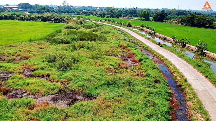 ขายที่ดิน-บ้านหนองไคร้-ตำบลหนองตอง-อำเภอหางดง-จังหวัดเชียงใหม่