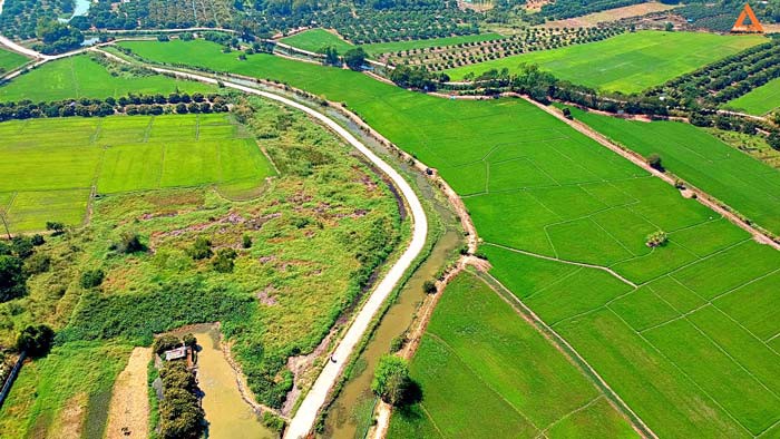 ขายที่ดิน-บ้านหนองไคร้-ตำบลหนองตอง-อำเภอหางดง-จังหวัดเชียงใหม่