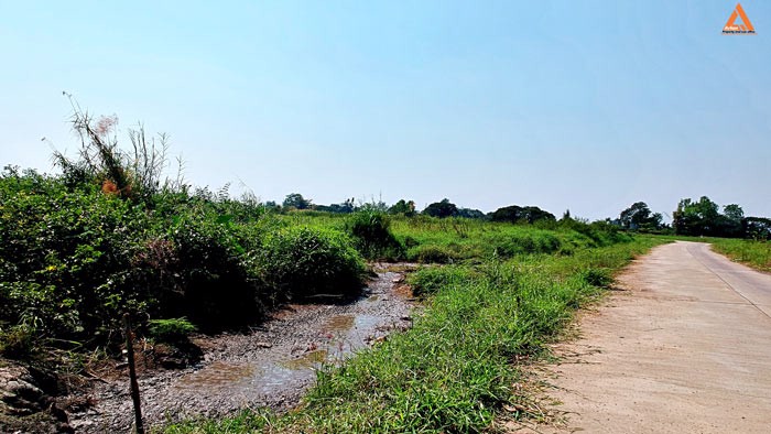 ขายที่ดิน-บ้านหนองไคร้-ตำบลหนองตอง-อำเภอหางดง-จังหวัดเชียงใหม่