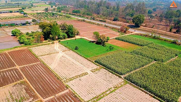 ขายที่ดิน-ใกล้คลองชลประทาน-ตำบลแม่แฝก-อำเภอสันทราย-จังหวัดเชียงใหม่