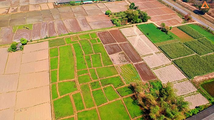 ขายที่ดิน-ใกล้คลองชลประทาน-ตำบลแม่แฝก-อำเภอสันทราย-จังหวัดเชียงใหม่