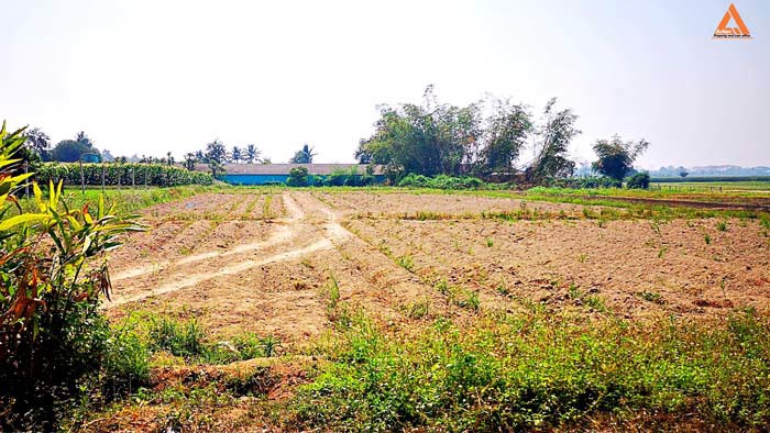 ขายที่ดิน-ใกล้คลองชลประทาน-ตำบลแม่แฝก-อำเภอสันทราย-จังหวัดเชียงใหม่