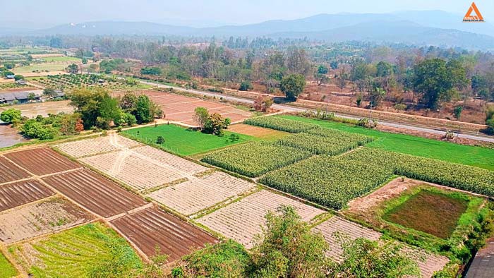 ขายที่ดิน-ใกล้คลองชลประทาน-ตำบลแม่แฝก-อำเภอสันทราย-จังหวัดเชียงใหม่