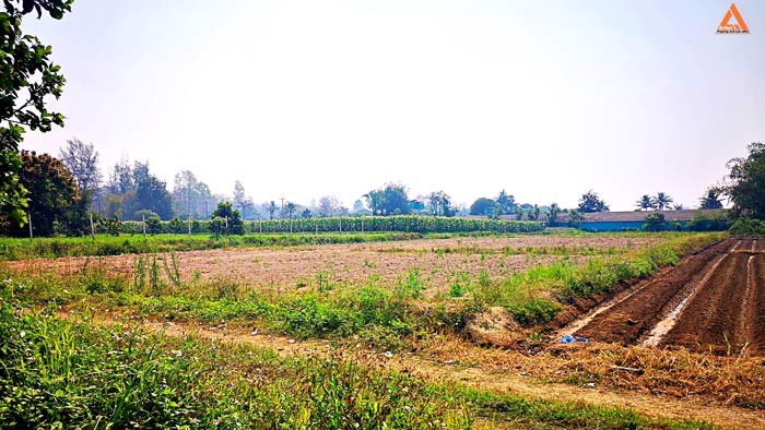 ขายที่ดิน-ใกล้คลองชลประทาน-ตำบลแม่แฝก-อำเภอสันทราย-จังหวัดเชียงใหม่