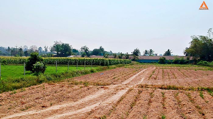 ขายที่ดิน-ใกล้คลองชลประทาน-ตำบลแม่แฝก-อำเภอสันทราย-จังหวัดเชียงใหม่