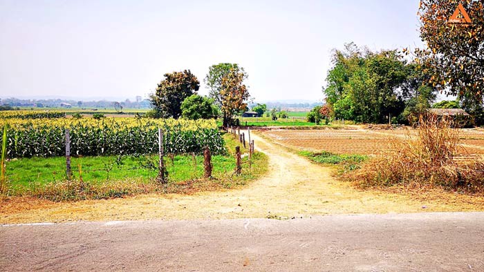 ขายที่ดิน-ใกล้คลองชลประทาน-ตำบลแม่แฝก-อำเภอสันทราย-จังหวัดเชียงใหม่