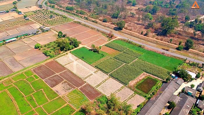 ขายที่ดิน-ใกล้คลองชลประทาน-ตำบลแม่แฝก-อำเภอสันทราย-จังหวัดเชียงใหม่