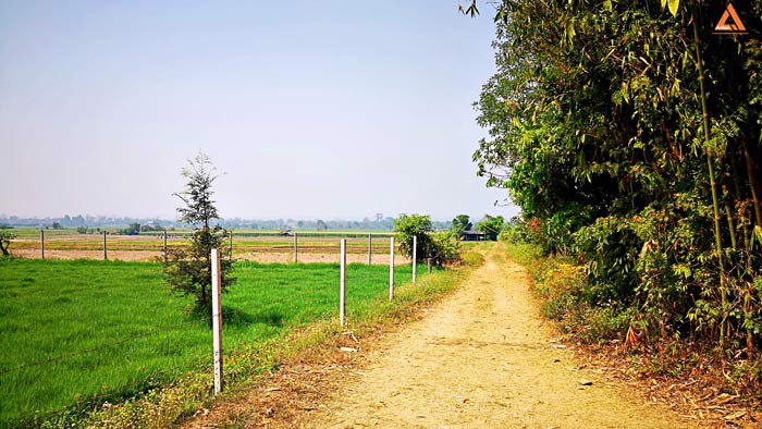 ขายที่ดิน-ใกล้คลองชลประทาน-ตำบลแม่แฝก-อำเภอสันทราย-จังหวัดเชียงใหม่