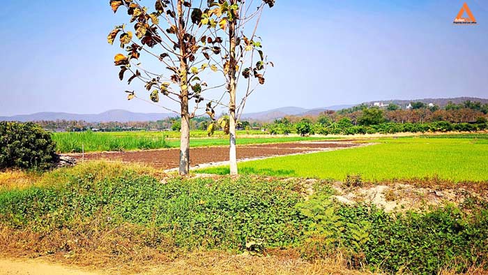 ขายที่ดิน-ใกล้กับ-บ้านเมืองวะ-หนองก้นครุ-ตำบลเมืองเล็น-อำเภอสันทราย-จังหวัดเชียงใหม่