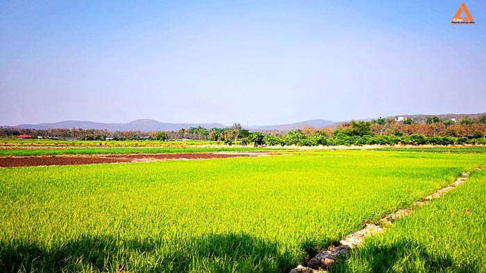 ขายที่ดิน-ใกล้กับ-บ้านเมืองวะ-หนองก้นครุ-ตำบลเมืองเล็น-อำเภอสันทราย-จังหวัดเชียงใหม่