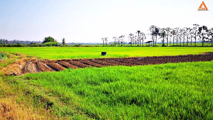 ขายที่ดิน-ใกล้กับ-บ้านเมืองวะ-หนองก้นครุ-ตำบลเมืองเล็น-อำเภอสันทราย-จังหวัดเชียงใหม่