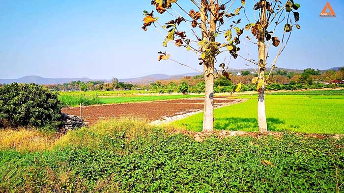 ขายที่ดิน-ใกล้กับ-บ้านเมืองวะ-หนองก้นครุ-ตำบลเมืองเล็น-อำเภอสันทราย-จังหวัดเชียงใหม่