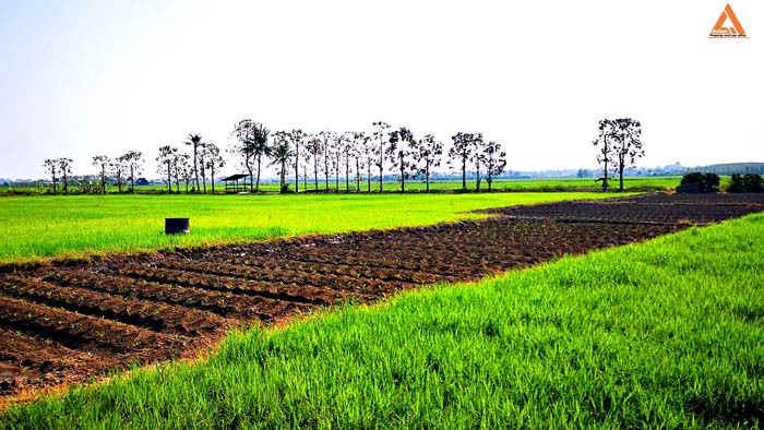 ขายที่ดิน-ใกล้กับ-บ้านเมืองวะ-หนองก้นครุ-ตำบลเมืองเล็น-อำเภอสันทราย-จังหวัดเชียงใหม่