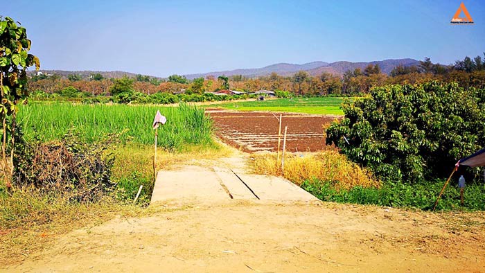 ขายที่ดิน-ใกล้กับ-บ้านเมืองวะ-หนองก้นครุ-ตำบลเมืองเล็น-อำเภอสันทราย-จังหวัดเชียงใหม่