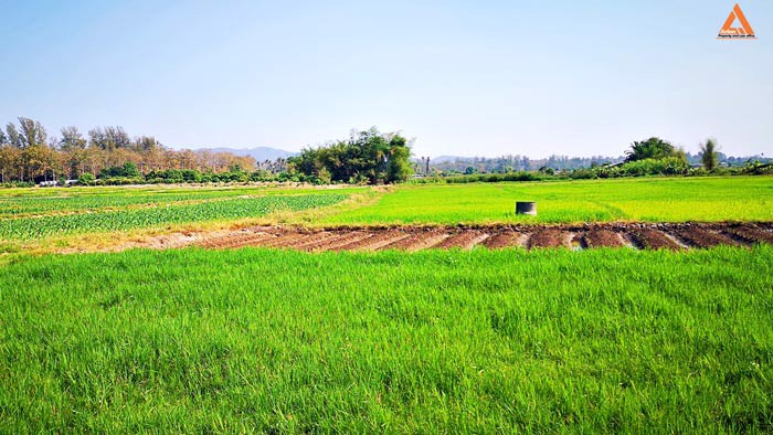 ขายที่ดิน-ใกล้กับ-บ้านเมืองวะ-หนองก้นครุ-ตำบลเมืองเล็น-อำเภอสันทราย-จังหวัดเชียงใหม่