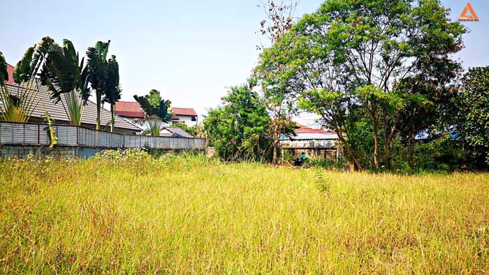 ขายที่ดิน-ใกล้หมู่บ้านวังตาล-ตำบลสันผักหวาน-อำเภอหางดง-จังหวัดเชียงใหม่