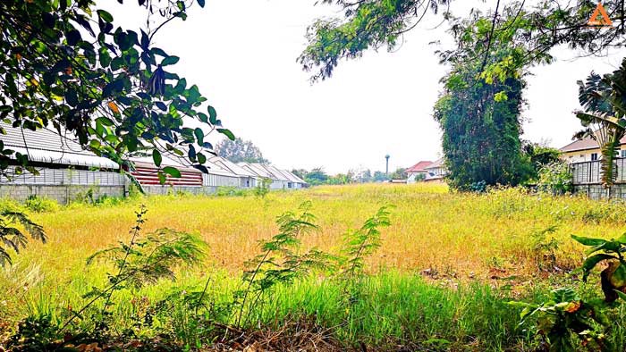 ขายที่ดิน-ใกล้หมู่บ้านวังตาล-ตำบลสันผักหวาน-อำเภอหางดง-จังหวัดเชียงใหม่