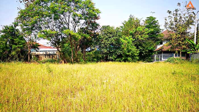 ขายที่ดิน-ใกล้หมู่บ้านวังตาล-ตำบลสันผักหวาน-อำเภอหางดง-จังหวัดเชียงใหม่