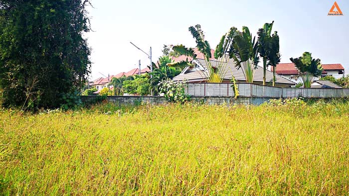 ขายที่ดิน-ใกล้หมู่บ้านวังตาล-ตำบลสันผักหวาน-อำเภอหางดง-จังหวัดเชียงใหม่