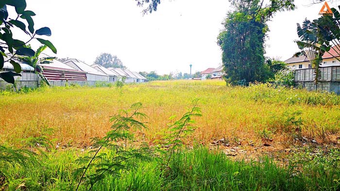 ขายที่ดิน-ใกล้หมู่บ้านวังตาล-ตำบลสันผักหวาน-อำเภอหางดง-จังหวัดเชียงใหม่