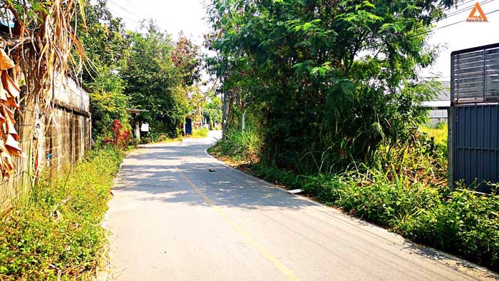 ขายที่ดิน-ใกล้หมู่บ้านวังตาล-ตำบลสันผักหวาน-อำเภอหางดง-จังหวัดเชียงใหม่