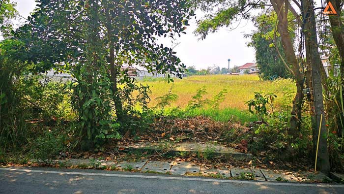 ขายที่ดิน-ใกล้หมู่บ้านวังตาล-ตำบลสันผักหวาน-อำเภอหางดง-จังหวัดเชียงใหม่