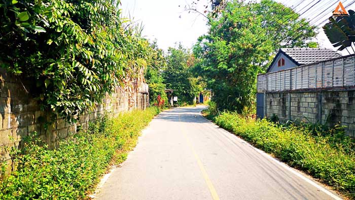 ขายที่ดิน-ใกล้หมู่บ้านวังตาล-ตำบลสันผักหวาน-อำเภอหางดง-จังหวัดเชียงใหม่